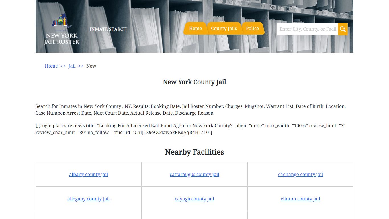New York County Jail | Jail Roster Search